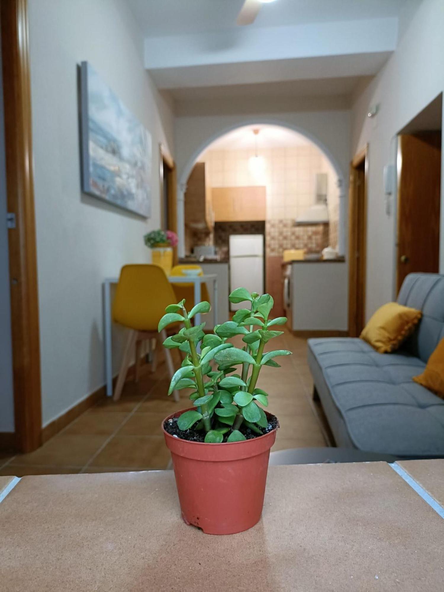 Casa Amalfi, Coqueta Casa Centro Historico De Vejer Apartment เวเฮร์ เด ลา ฟรอนเตรา ภายนอก รูปภาพ